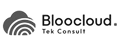 bloo_cloud_tek_logo 1 (2)